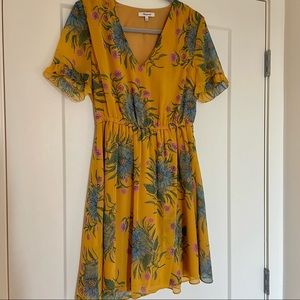 Madewell Sundress